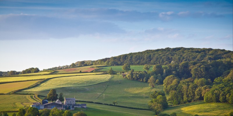 Spring: The Optimal Season to Sell Your Cotswolds Property